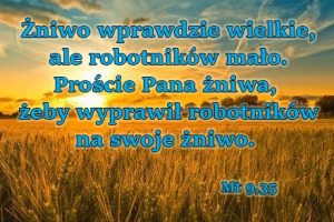XI Niedziela Zwykła – rok A – 14.06.2026&nbsp;r.
